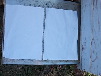 ALBINE 2012 014.JPG