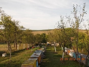 ALBINE 2012 027.JPG