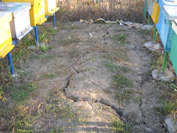 DSCN6103 (Medium).jpg