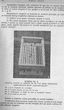 ___Stupul Dorobantiu Alexandru 2.JPG