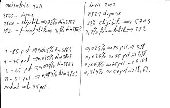 raport masura 112 .jpg