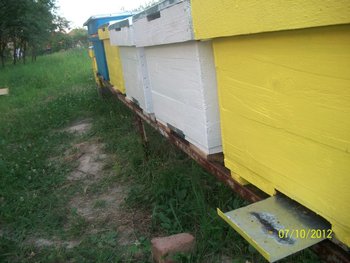 Picture 007.jpg