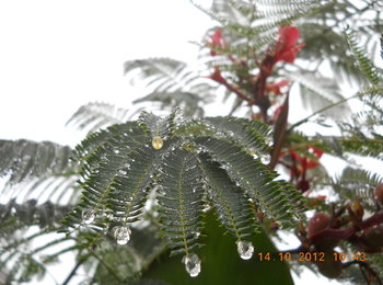 rsz_4dscn4133.jpg