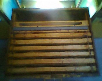 fotogr.0080.jpg