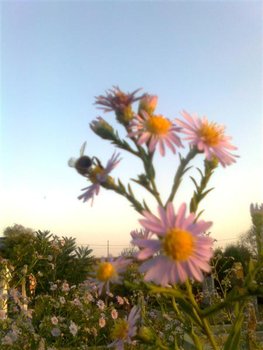 Imagine1482 (Medium).jpg