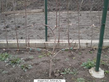 ok_140996.jpg