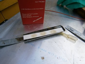 PA250017.JPG