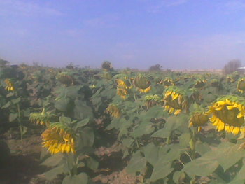 Sep-oct 2012014.jpg