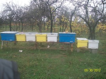 Picture 006.jpg