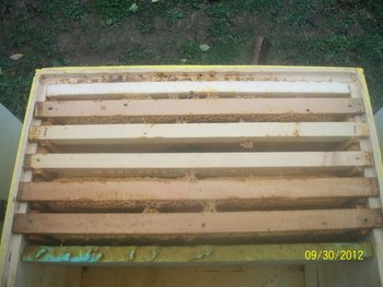 Picture 005.jpg