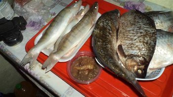 DSC02532 (Small).JPG