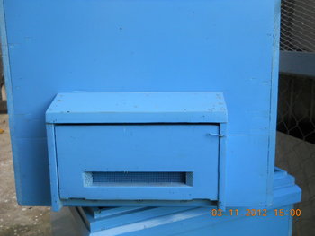 rsz_dscn4377.jpg