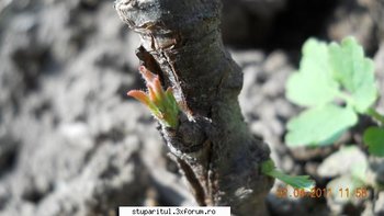 ok_160881.jpg