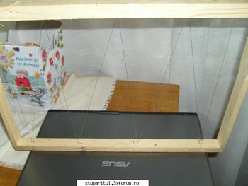 ok_135349.jpg