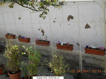ok_163206.jpg
