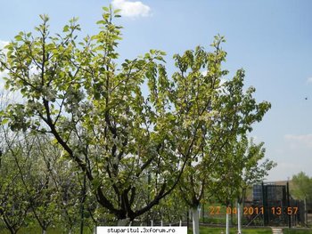 ok_163207.jpg