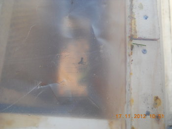 rsz_dscn4453.jpg