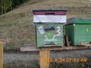 DSCI0838.jpg