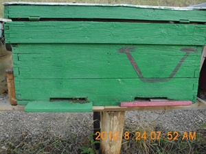 DSCI0840.jpg