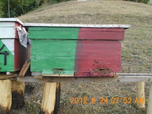 DSCI0842.jpg