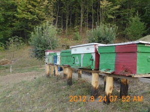 DSCI0843.jpg