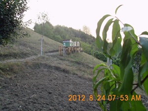 DSCI0844.jpg
