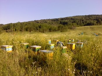 P170612_18.44_[01].jpg