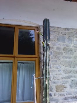 P160711_14.36_[03].jpg