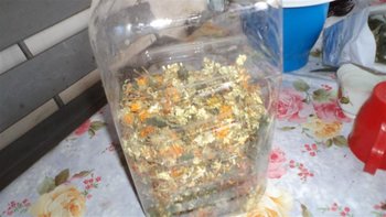 DSC02671 (Medium) (Medium).JPG