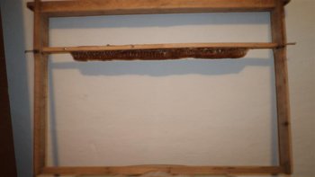 DSC02679 (Medium).JPG