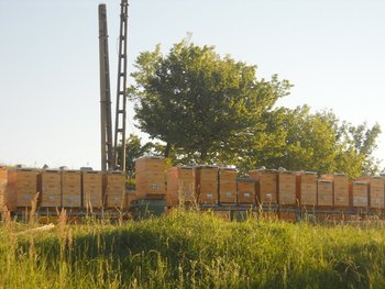 s15.jpg