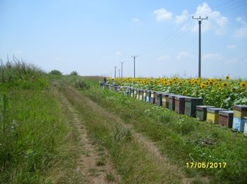 S7000184.JPG
