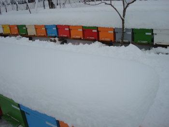 DSC07602.JPG