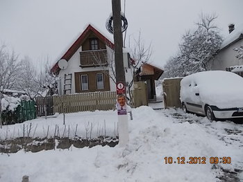 comeat 2012 009.JPG