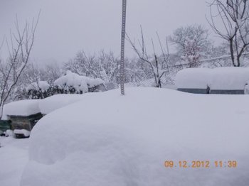 comeat 2012 007.JPG