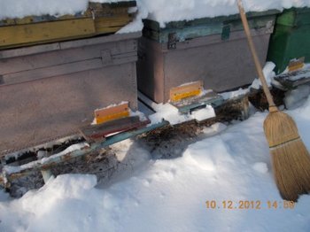 comeat 2012 021.JPG