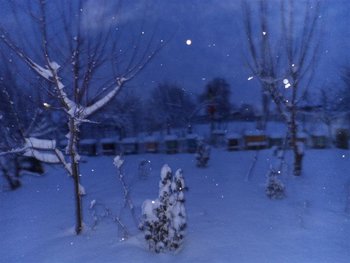 DSC02696 (Medium).JPG