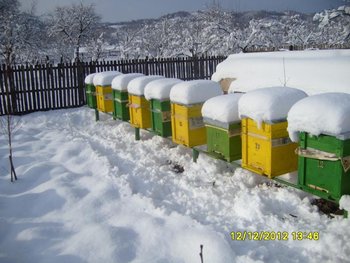 PhotoFancy_978708_min.jpg