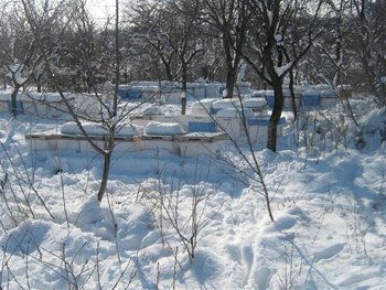 IMG_6137 (Small).jpg