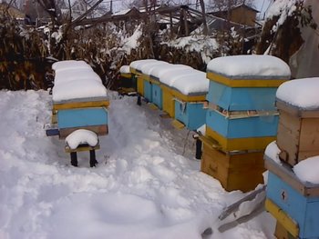 P131212_10.13.jpg