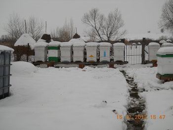 rsz_dscn4645.jpg