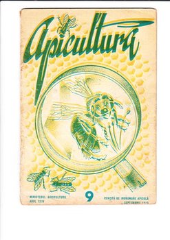 prima revista (Medium).jpg