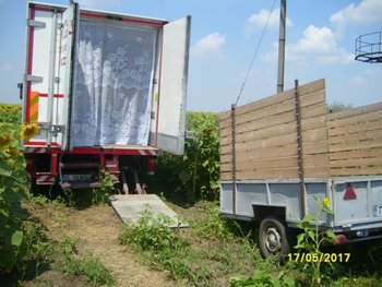 S7000186.JPG