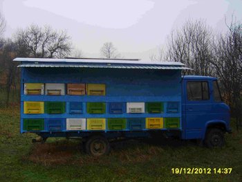 S6002278.jpg