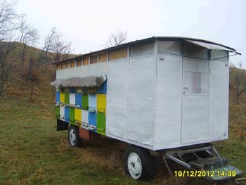 S6002282.jpg