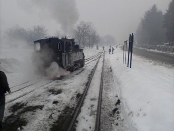 Fotografie-0031.jpg