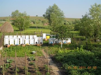 DSCN0696 (Large).jpg