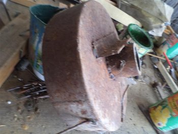 DSC02769 (Medium).JPG