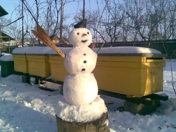Imag064.jpg