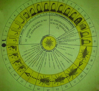 __calendar_crester-matci_resize.JPG